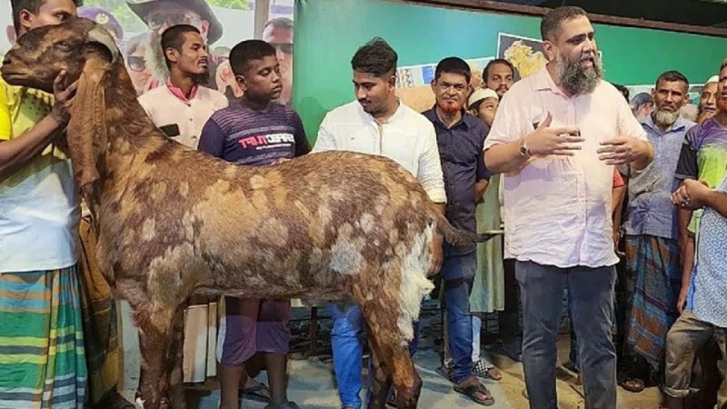 সাদিক অ্যাগ্রো ফার্ম উচ্ছেদ চালোনোর সিদ্ধান্ত 5 news 1719417876682