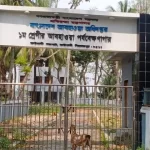 বাংলাদেশে আদানির বিদ্যুৎ সরবরাহ পুরোপুরি বন্ধ