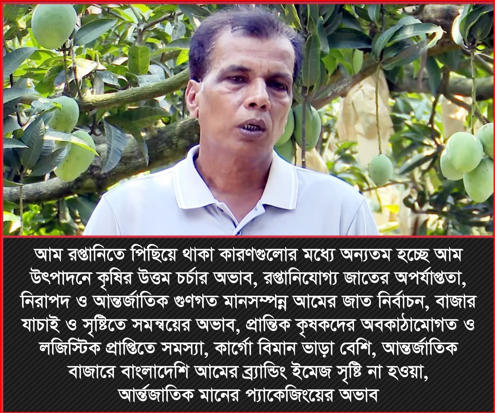 WhatsApp Image 2024 07 13 at 21.26.14 51cca56d