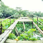 প্রধানমন্ত্রীর সাম্প্রতিক চীন সফরের গুরুত্ব