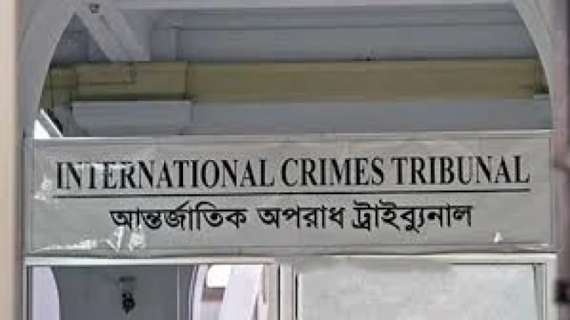 গণহত্যার বিচারে প্রস্তুত হচ্ছে আন্তর্জাতিক অপরাধ ট্রাইব্যুনাল 5 news 1725993726181