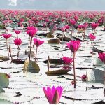 কড়া সতর্ক বার্তা: পাল্টা হামলা চালালে ইসরাইলের প্রতিটি স্থাপনাকে টার্গেট করবে তেহরান