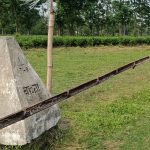 পুতুলকে বাদ দিয়ে ডব্লিউএইচও’র সঙ্গে কাজ করতে চায় বাংলাদেশ