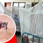ভোট রাতে না নিলে হাসিনাকে পালাতে হত না: জামায়াত নেতা মোহাম্মদ শাহজাহান