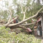 ঢাকা থেকে ইউরোপে কার্গো খরচ ১৩ শতাংশ কমেছে : বিমান উপদেষ্টা