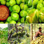 মহান মে দিবস পালিত