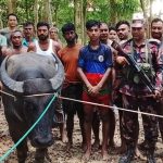 নলছিটিতে বিএনপির নাম ভাঙ্গিয়ে ছিনতাই,থানায় মামলা দায়ের
