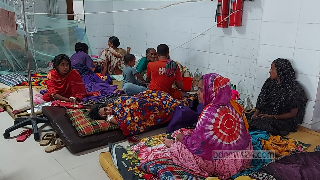 barguna dengue