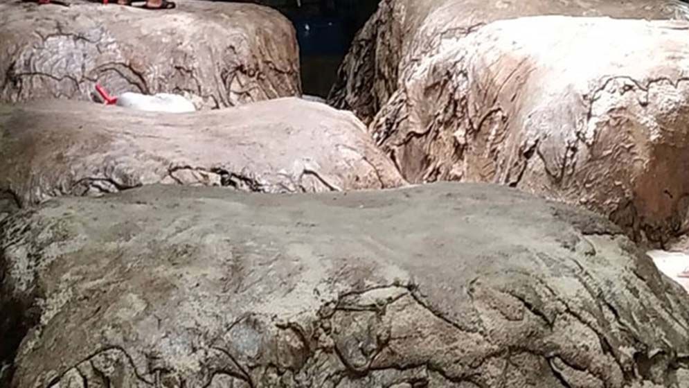কুরবানির পশুর চামড়ার কাঙ্ক্ষিত দাম মেলেনি 5 chamra 6845cdde8536a