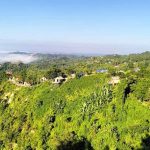 বরিশাল সিভিল সার্জন অফিসে স্বাস্থ্য সহকারী পদ নিয়োগে অনিয়মের অভিযোগ