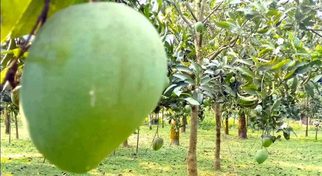 rangpur02 20250614103435
