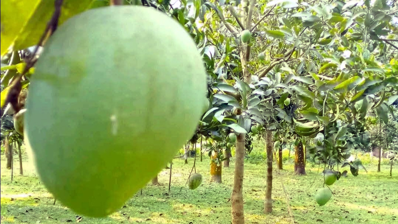 rangpur02 20250614103435