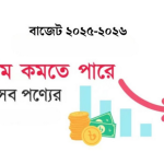 বাজেটে যেসব পণ্যের দাম বাড়তে পারে