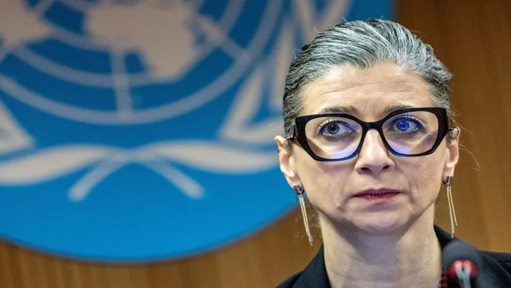 UN EXPERT 686f416898033