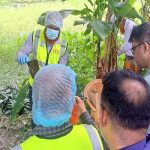 স্বপ্নালোক মিডিয়া এ্যাওয়ার্ড পেলেন সাংবাদিক মামুনুর রশীদ নোমানী