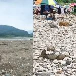 কেশরিয়া বিল যেন শ্বেতপদ্মের স্বর্গ