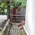 নদী মরলে জীবনও মরে : বুড়িভদ্রার করুণ পরিণতি