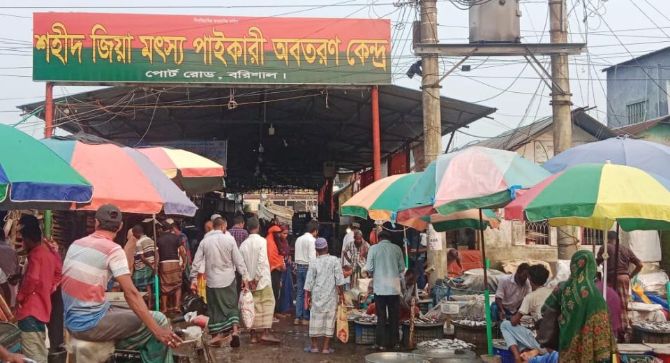 জিয়া পাইকারি মৎস্য বাজার