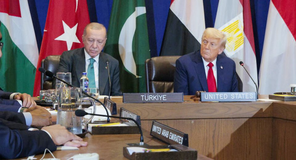 image 1758734156 clqj8RlXbfUcPJQVmkJ1pV7UMxwWvH1NRFeJ2GE0