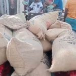 প্রধান উপদেষ্টার সঙ্গে ইতালির প্রধানমন্ত্রী জর্জিয়া মেলোনির বৈঠক