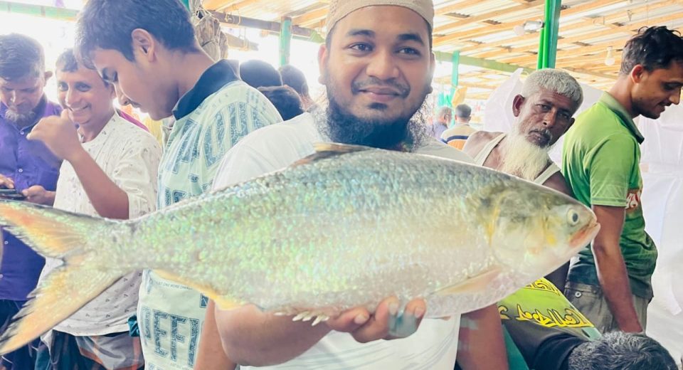 মহিপুরে এক ইলিশ ১৪ হাজার টাকায় বিক্রি 12 image 1758791850 KgRyTZMLl0X2VNj5LCIqov9fOvDeUMQOrnfOSOa5