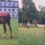 পল্লী বিদ্যুতের কর্মীদের ২৪ ঘণ্টা সময় বেঁধে দিল সরকার