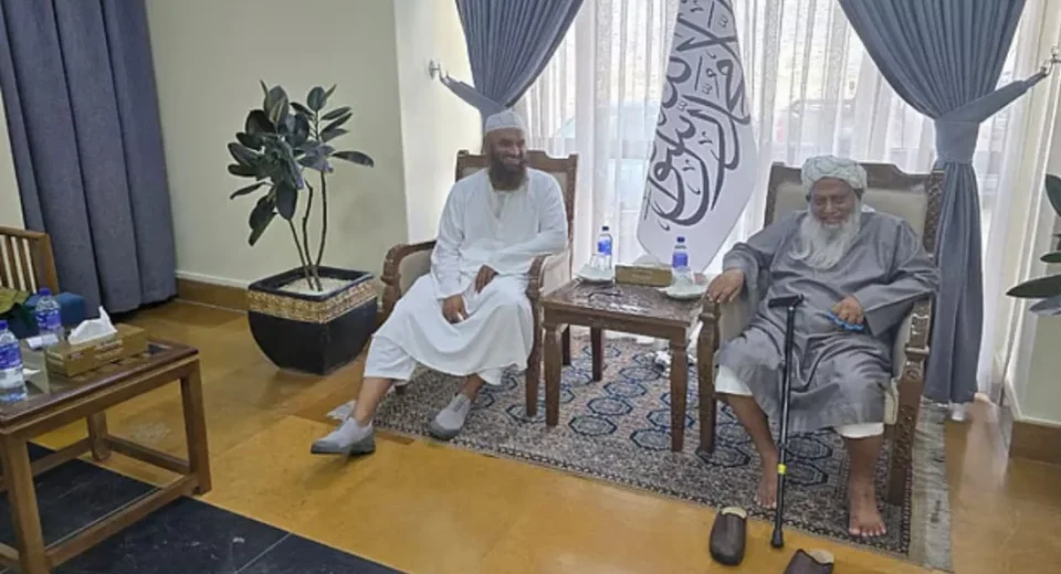 মজলিসের আমির মামুনুল হক