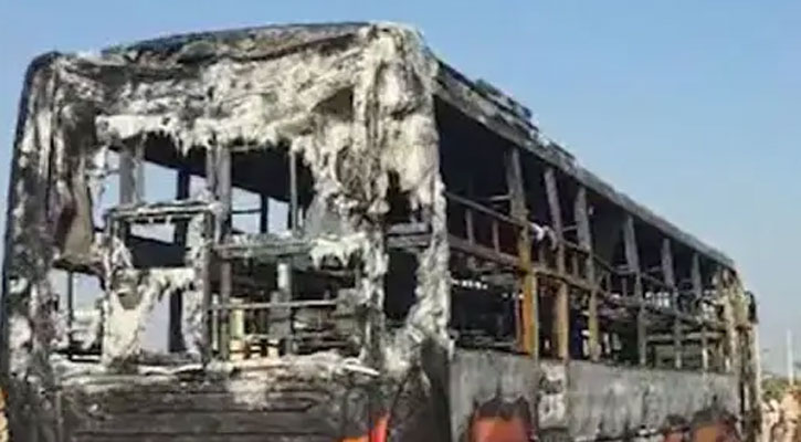 bus