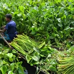 চট্টগ্রামে বহুতল ভবনে আগুন