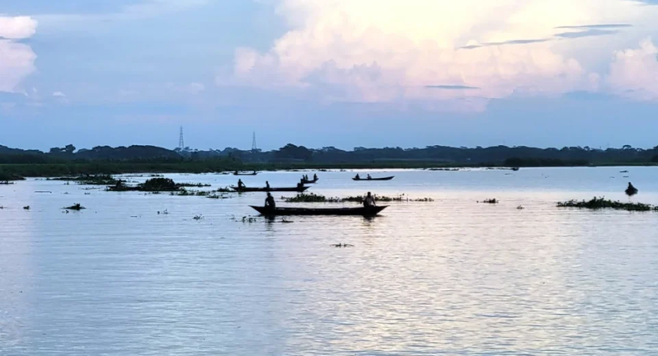 সরকারি নিষেধাজ্ঞা উপেক্ষা করে অবাধে ইলিশ শিকার 5 ইলিশ শিকার