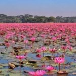 নিঃস্ব বরিশালের ৭০ যুবক,অবৈধ পথে ইউরোপ যাত্রা