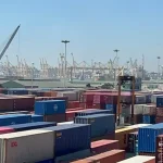 ভোলায় ১২টি মহিষ লুট :খামারে হামলা,ব্যবস্থাপককে মারধর