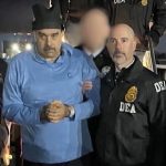 আমির হামজার পেশা ব্যবসা ও কৃষি